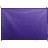 Bandera de colores de 100 x 70 cm para fiestas Color Morado