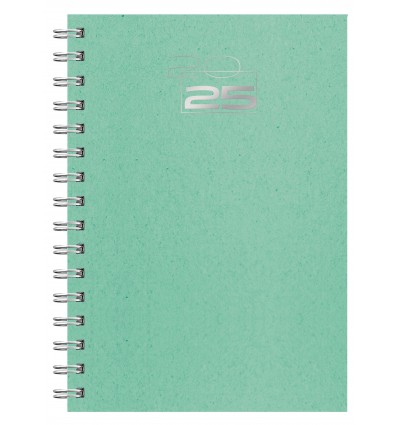 Agenda personalizada wire'o 2025 Remake Dia A5 barata Color Verde