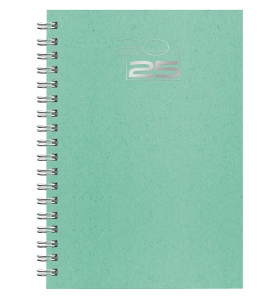 Agenda promocional wire'o 2025 Remake Dia B5 Personalizada Color Verde