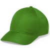 Gorra de microfibra y poliéster con cierre de velcro 6 paneles para merchandising Color Verde