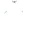 Camiseta Promocional Original para Eventos color Blanco